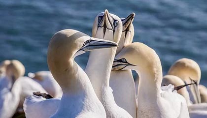 北京疫情最新公布(北京疫情最新公布数据)